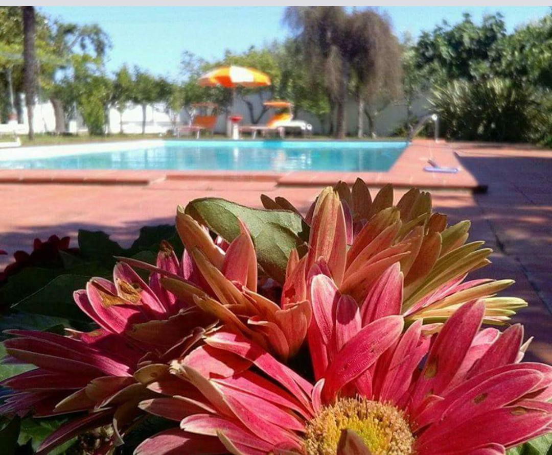 Borgo Fiore Country House Salice Salentino Εξωτερικό φωτογραφία