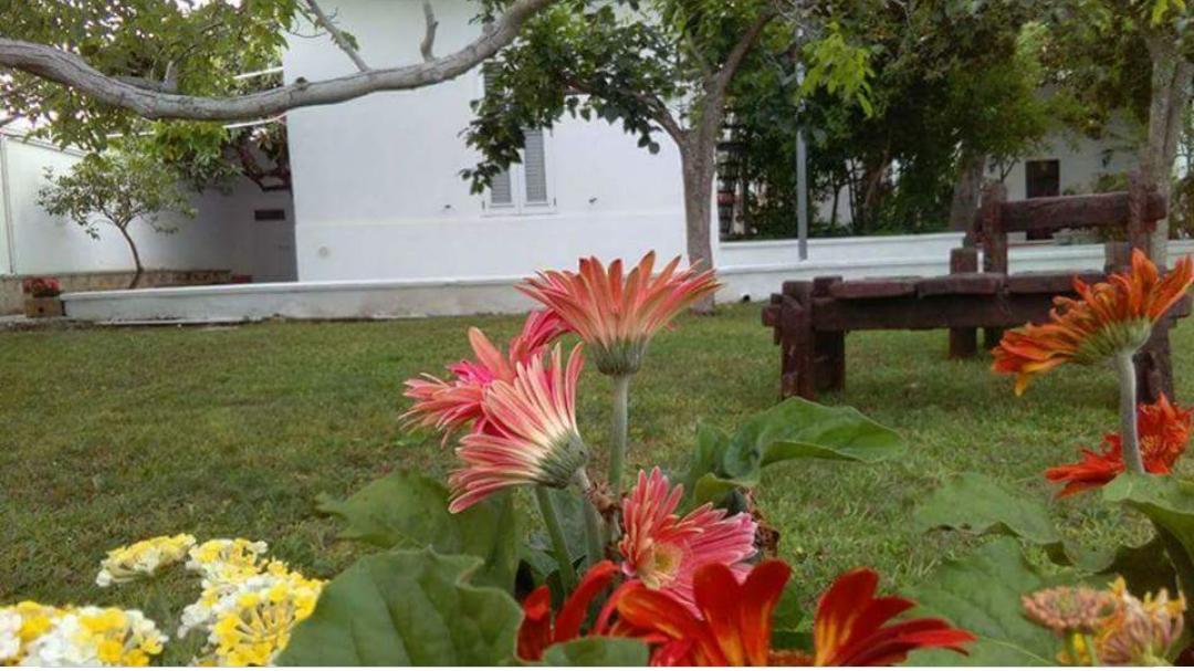 Borgo Fiore Country House Salice Salentino Εξωτερικό φωτογραφία